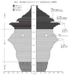 人口ピラミッド（総務省：2021年）.png